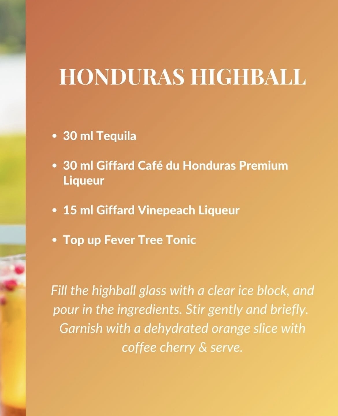 Giffard Café du Honduras Likör 700 ml – Kaffee Likör aus Honduras 25% vol.
