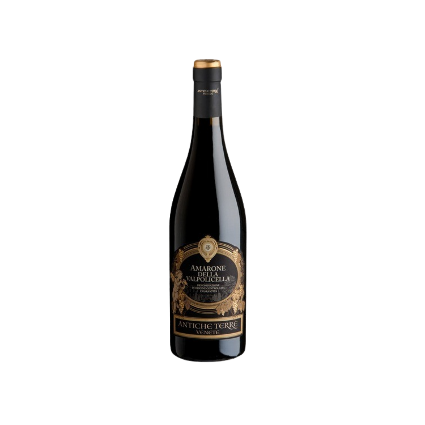 antiche-terre-amarone-750ml-flasche