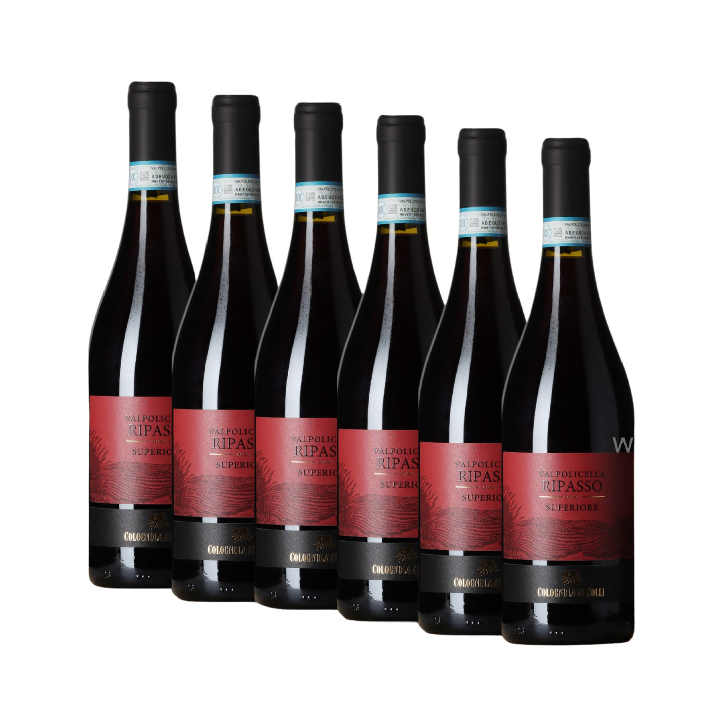 valpolicella-ripasso-6-stueck-750ml-flasche