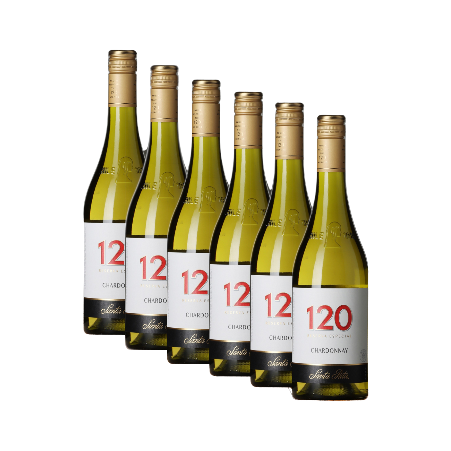 Chardonnay 120 Weißwein 6 x 750 ml – Santa Rita 13 % vol.