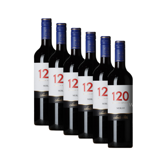 Merlot Reserva Especial 120 6 x 750 ml – Santa Rita 13 % vol.