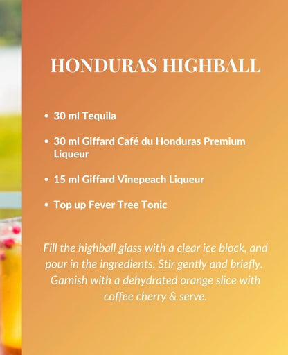 Giffard Café du Honduras Likör 700 ml – Kaffee Likör aus Honduras 25% vol.