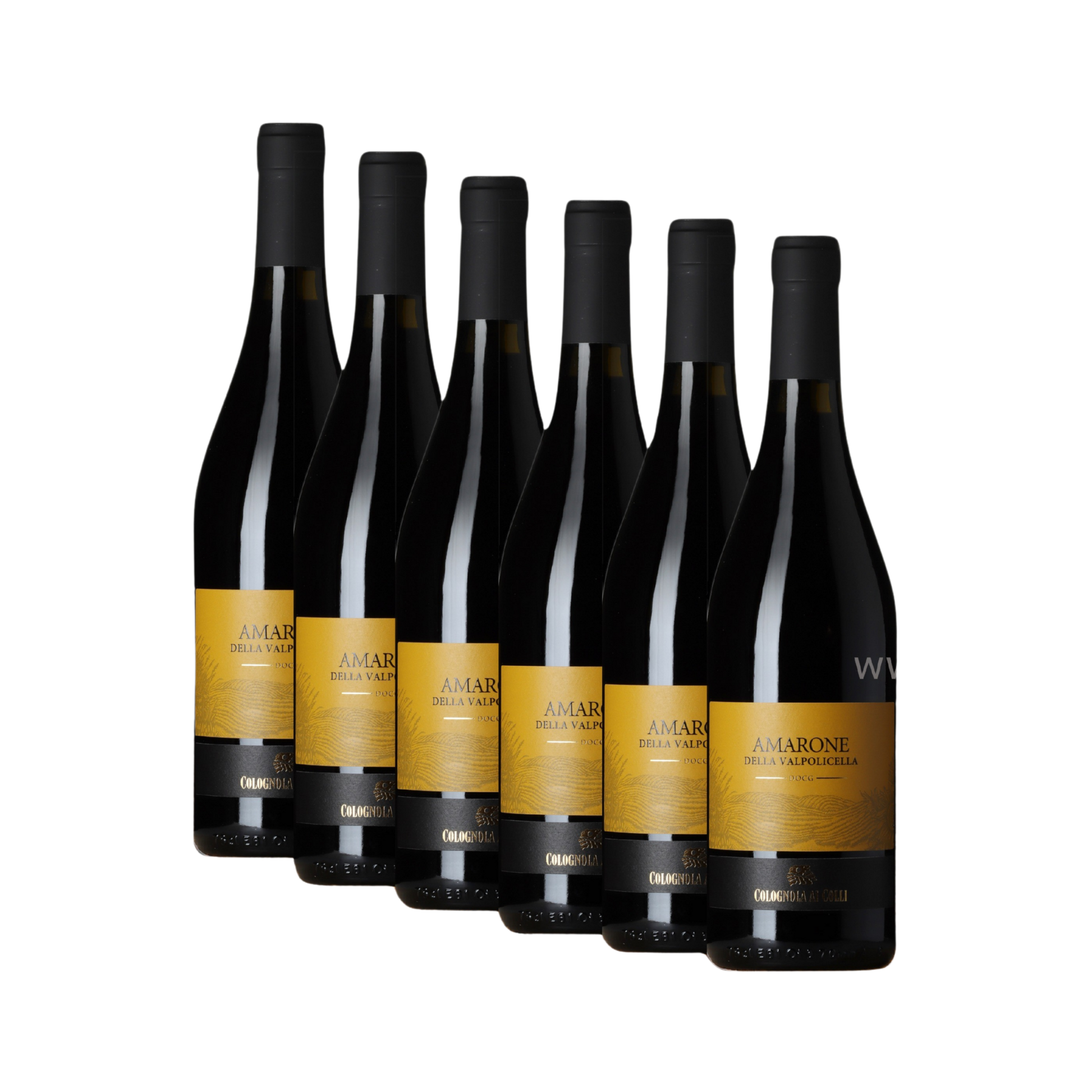 amarone-della-valpolicella-6-stueck-750ml-flasche