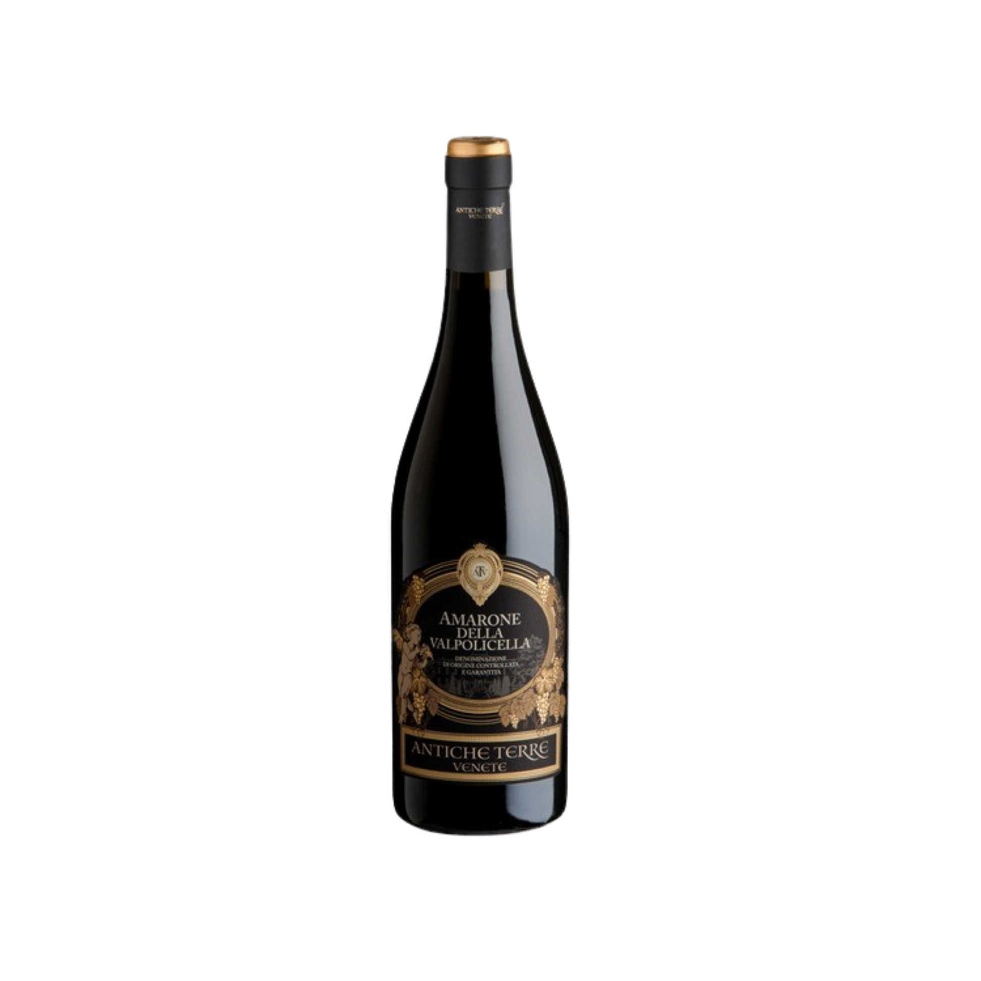 antiche-terre-amarone-750ml-flasche