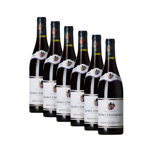 gevrey-chambertin-6-stueck-750ml-flasche