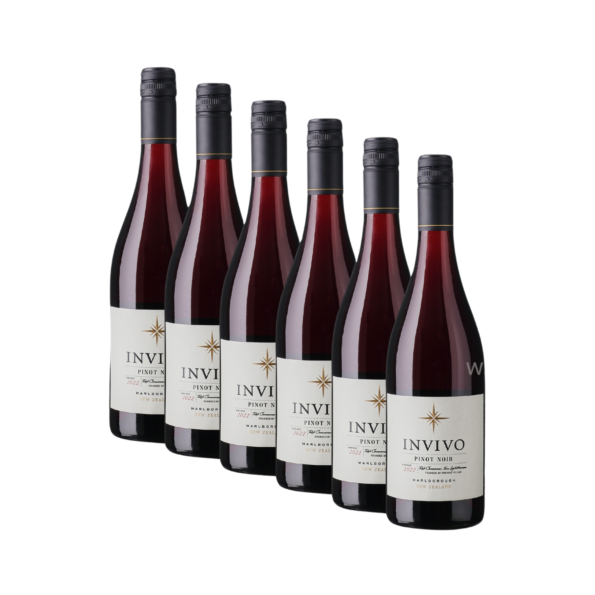 invivo-pinot-noir-6-stueck-750ml-flasche