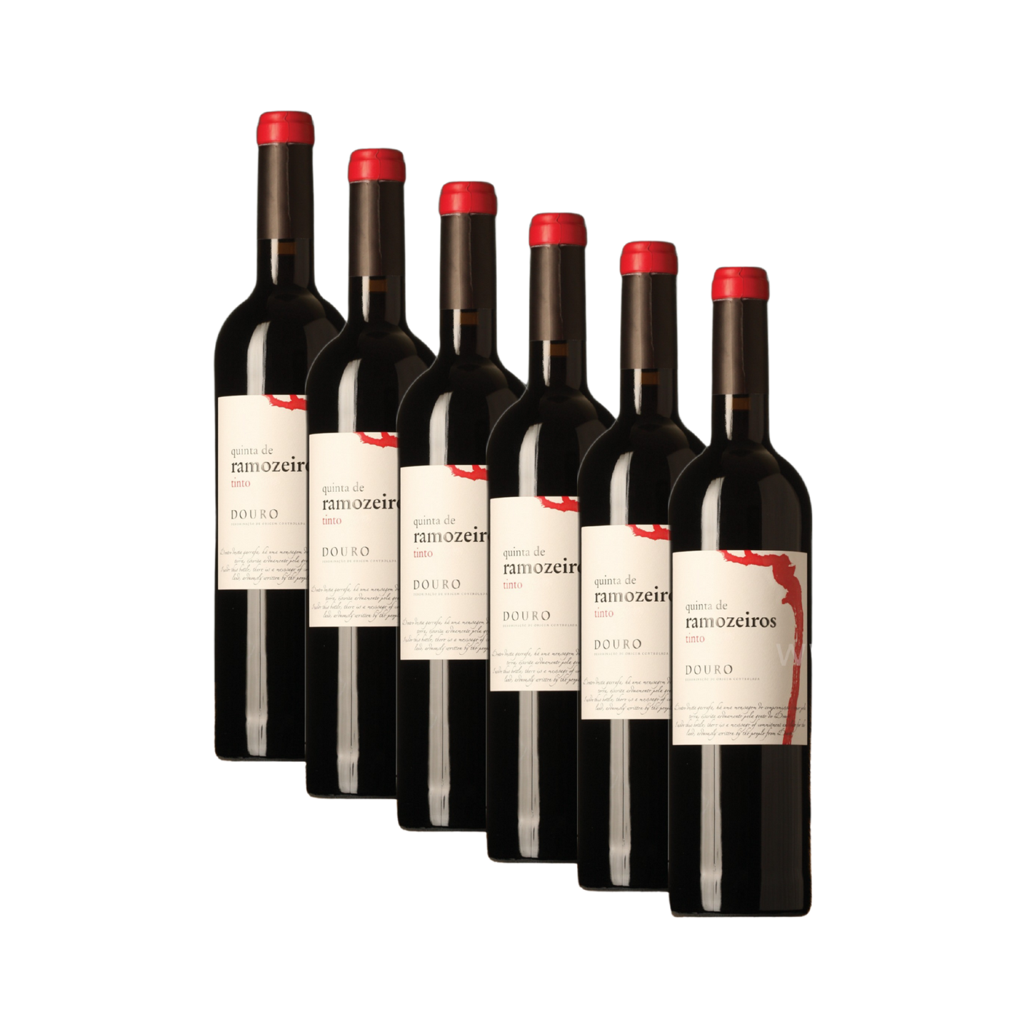quinta-de-ramozeiros-6-stueck-750ml-flasche