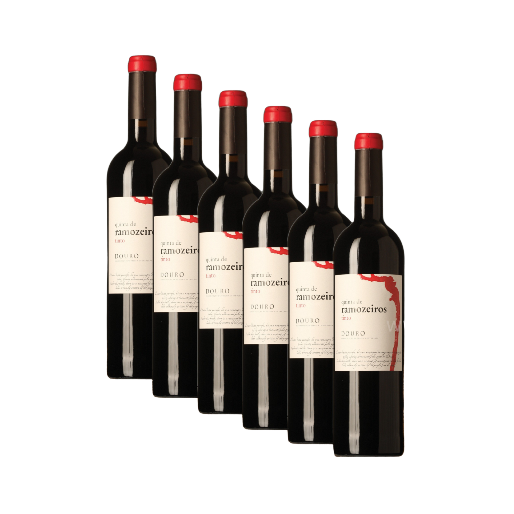 quinta-de-ramozeiros-6-stueck-750ml-flasche