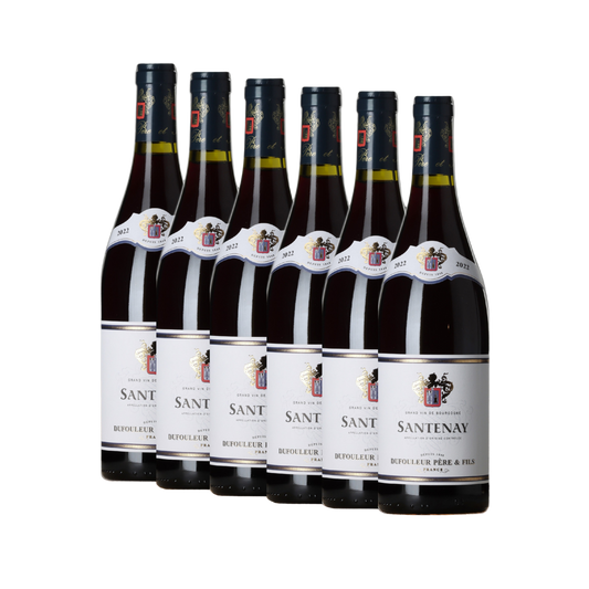 Santenay 2022 6 x 750 ml – Dufouleur Père & Fils 13 % vol.