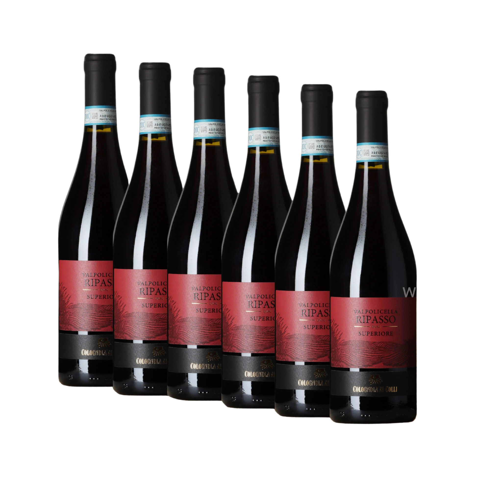 valpolicella-ripasso-6-stueck-750ml-flasche